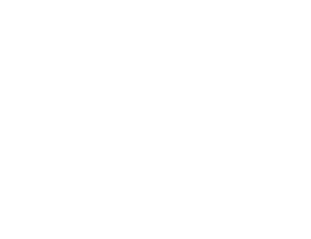 SkisafeBadGastein_white